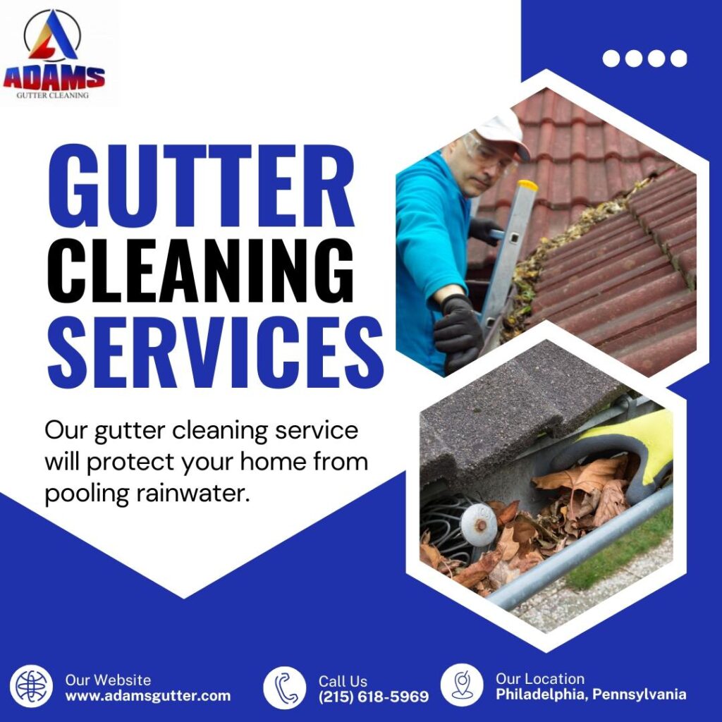 Gutter-Cleaning-Services-in